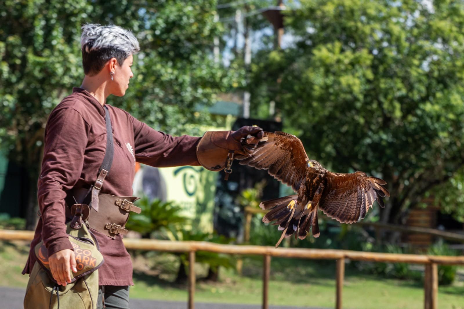 Zoo Park Foz Oferece Descontos de Até 40% para Moradores Locais no Dia das Crianças